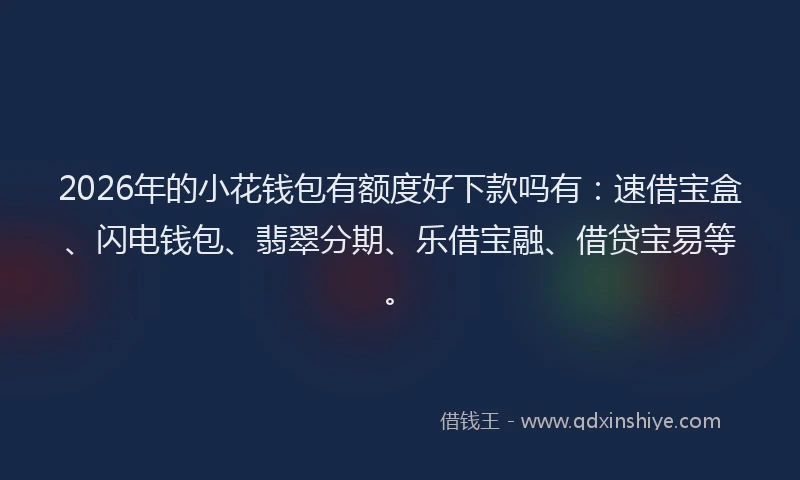 2026年的小花钱包有额度好下款吗有：速借宝盒、闪电钱包、翡翠分期、乐借宝融、借贷宝易等。