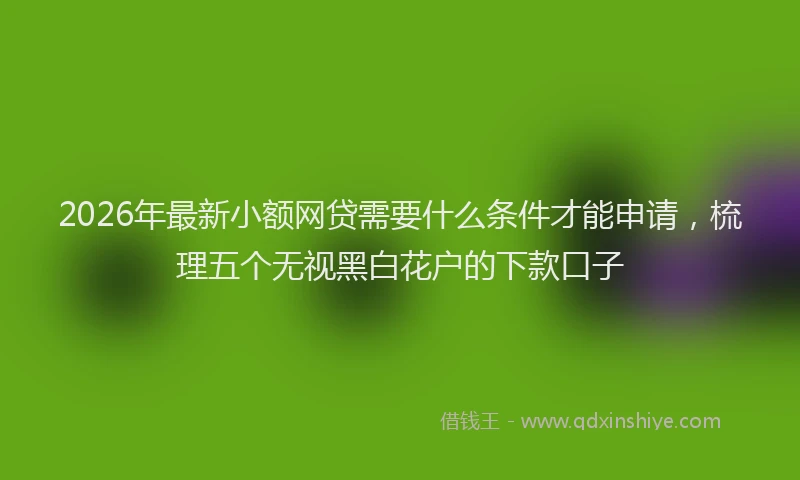 2026年最新小额网贷需要什么条件才能申请，梳理五个无视黑白花户的下款口子