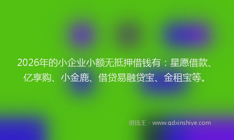 2026年的小企业小额无抵押借钱有：星愿借款、亿享购、小金鹿、借贷易融贷宝、金租宝等。