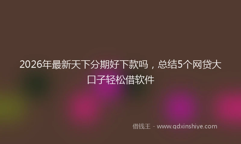 2026年最新天下分期好下款吗，总结5个网贷大口子轻松借软件