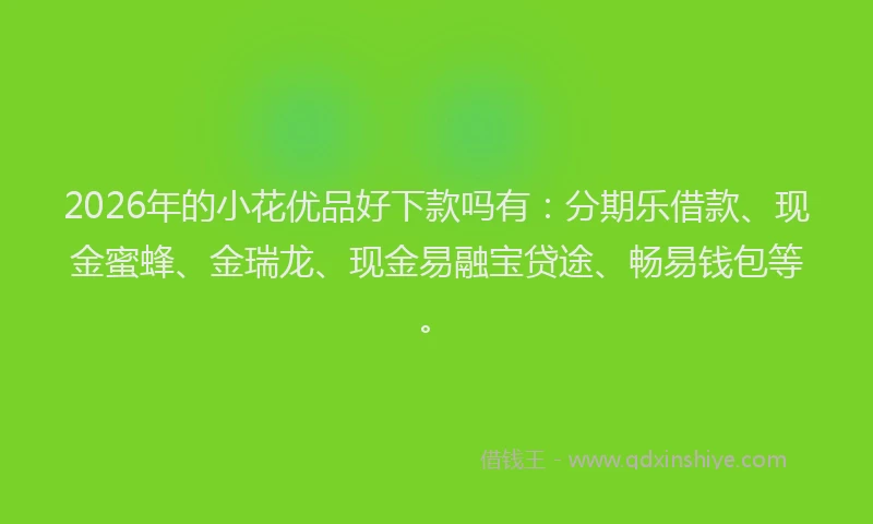 2026年的小花优品好下款吗有：分期乐借款、现金蜜蜂、金瑞龙、现金易融宝贷途、畅易钱包等。