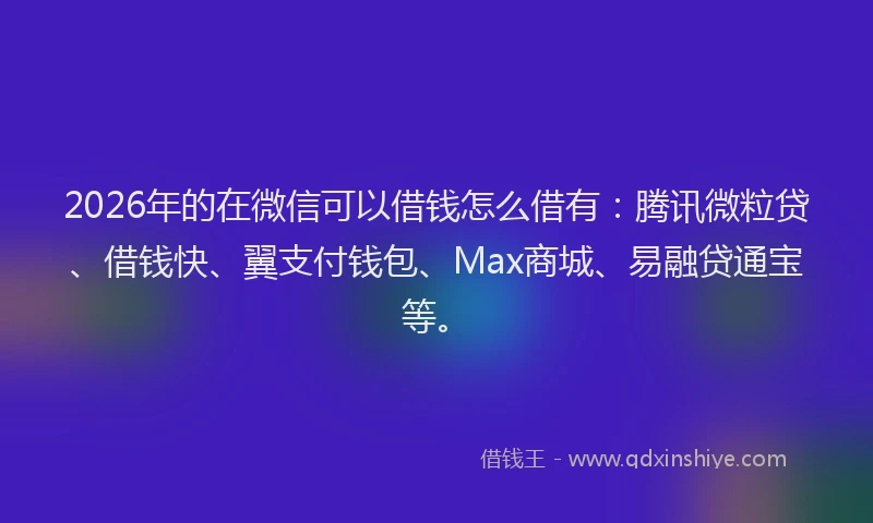 2026年的在微信可以借钱怎么借有：腾讯微粒贷、借钱快、翼支付钱包、Max商城、易融贷通宝等。