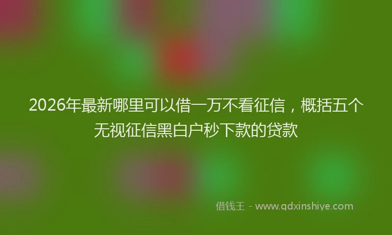 2026年最新哪里可以借一万不看征信，概括五个无视征信黑白户秒下款的贷款