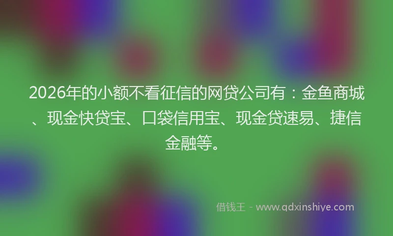 2026年的小额不看征信的网贷公司有：金鱼商城、现金快贷宝、口袋信用宝、现金贷速易、捷信金融等。