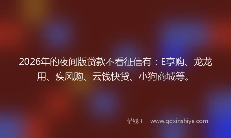 2026年的夜间版贷款不看征信有:E享购、龙龙用、疾风购、云钱快贷、小狗商城等。