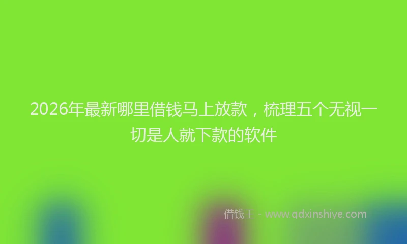 2026年最新哪里借钱马上放款,梳理五个无视一切是人就下款的软件