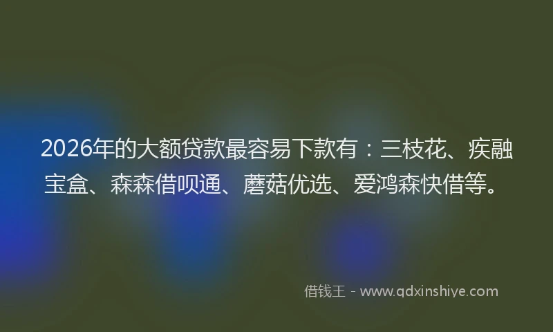 2026年的大额贷款最容易下款有：三枝花、疾融宝盒、森森借呗通、蘑菇优选、爱鸿森快借等。