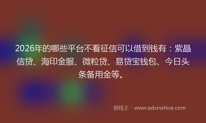 2026年的哪些平台不看征信可以借到钱有:紫晶信贷、海印金服、微粒贷、易贷宝钱包、今日头条备用金等。