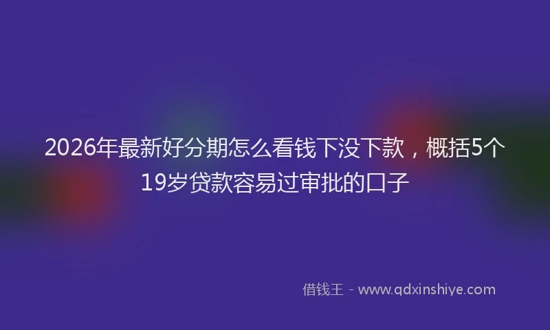 2026年最新好分期怎么看钱下没下款，概括5个19岁贷款容易过审批的口子