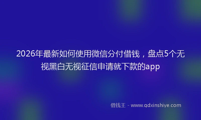 2026年最新如何使用微信分付借钱，盘点5个无视黑白无视征信申请就下款的app