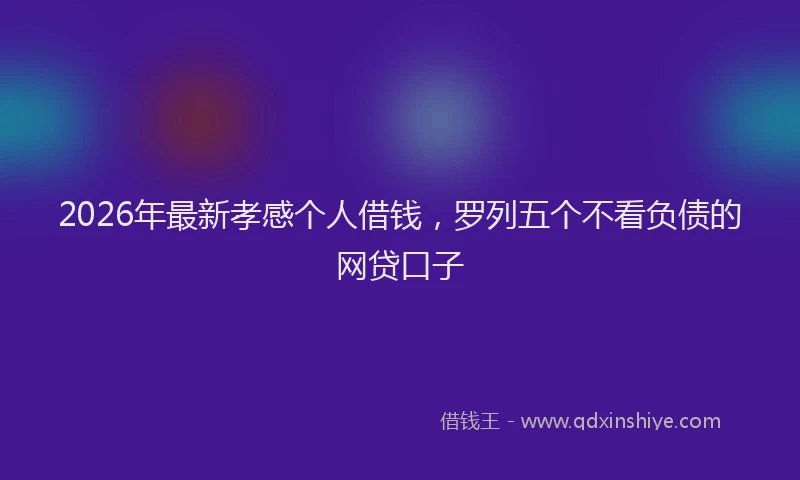 2026年最新孝感个人借钱，罗列五个不看负债的网贷口子