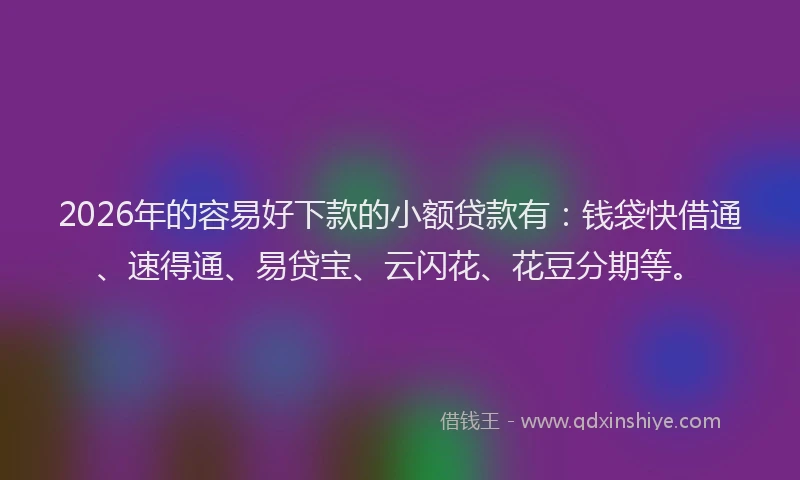 2026年的容易好下款的小额贷款有：钱袋快借通、速得通、易贷宝、云闪花、花豆分期等。