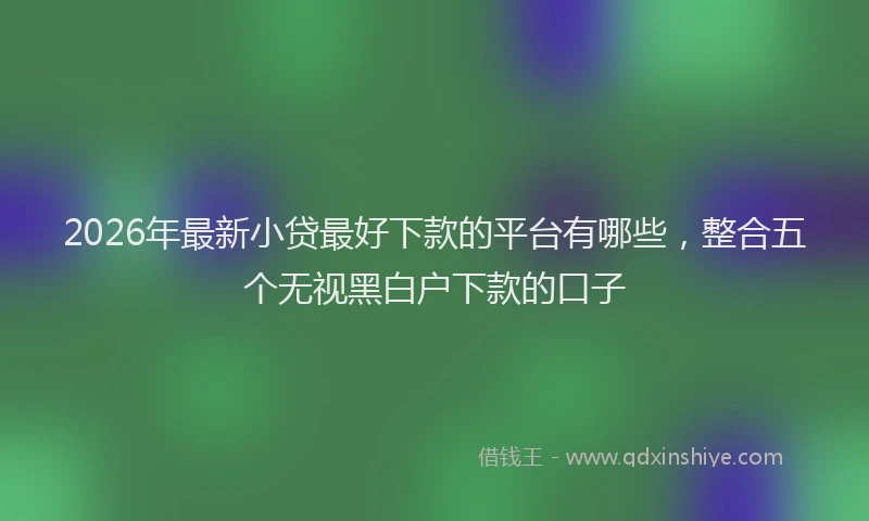 2026年最新小贷最好下款的平台有哪些，整合五个无视黑白户下款的口子