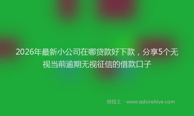 2026年最新小公司在哪贷款好下款，分享5个无视当前逾期无视征信的借款口子