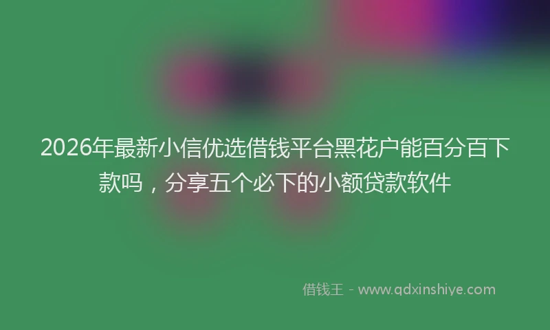 2026年最新小信优选借钱平台黑花户能百分百下款吗，分享五个必下的小额贷款软件