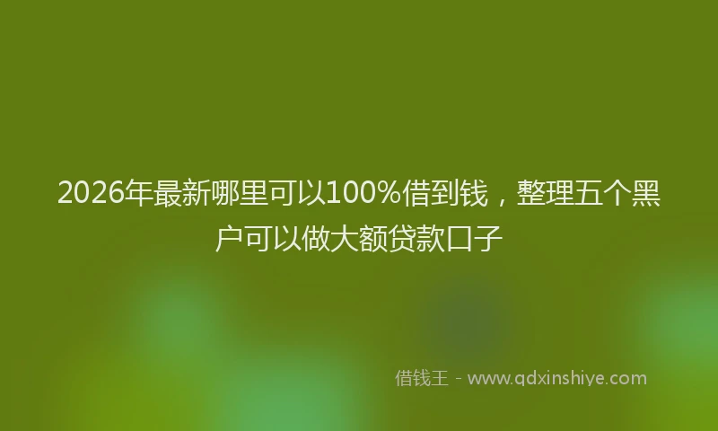 2026年最新哪里可以100%借到钱，整理五个黑户可以做大额贷款口子