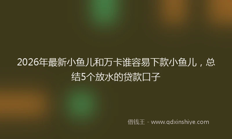 2026年最新小鱼儿和万卡谁容易下款小鱼儿，总结5个放水的贷款口子