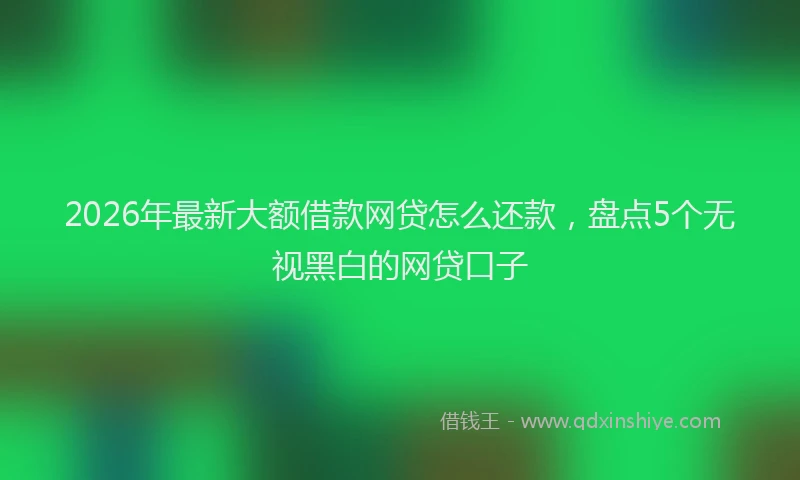 2026年最新大额借款网贷怎么还款，盘点5个无视黑白的网贷口子