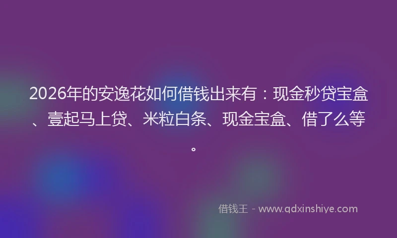 2026年的安逸花如何借钱出来有：现金秒贷宝盒、壹起马上贷、米粒白条、现金宝盒、借了么等。