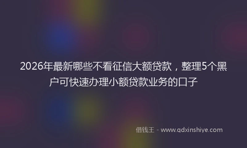 2026年最新哪些不看征信大额贷款，整理5个黑户可快速办理小额贷款业务的口子
