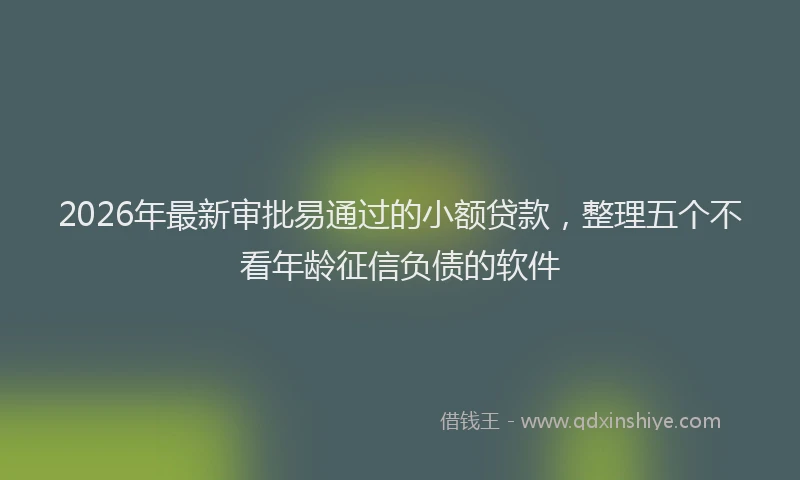 2026年最新审批易通过的小额贷款，整理五个不看年龄征信负债的软件