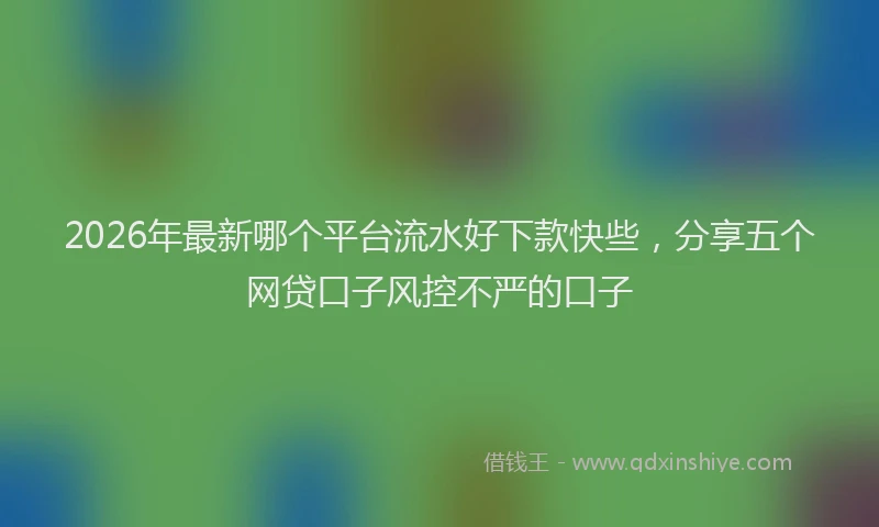 2026年最新哪个平台流水好下款快些，分享五个网贷口子风控不严的口子