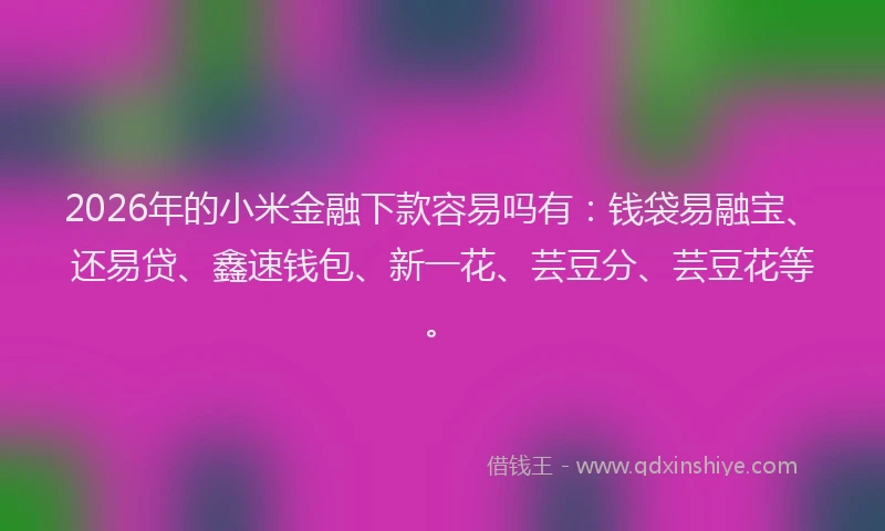 2026年的小米金融下款容易吗有：钱袋易融宝、还易贷、鑫速钱包、新一花、芸豆分、芸豆花等。