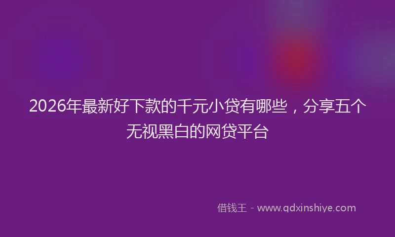 2026年最新好下款的千元小贷有哪些，分享五个无视黑白的网贷平台