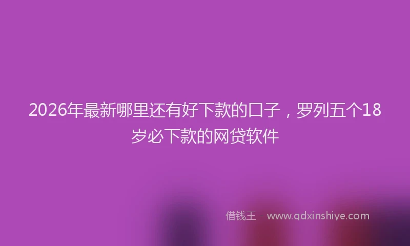 2026年最新哪里还有好下款的口子,罗列五个18岁必下款的网贷软件