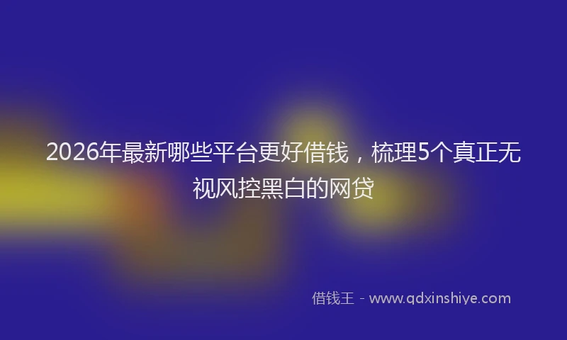 2026年最新哪些平台更好借钱，梳理5个真正无视风控黑白的网贷