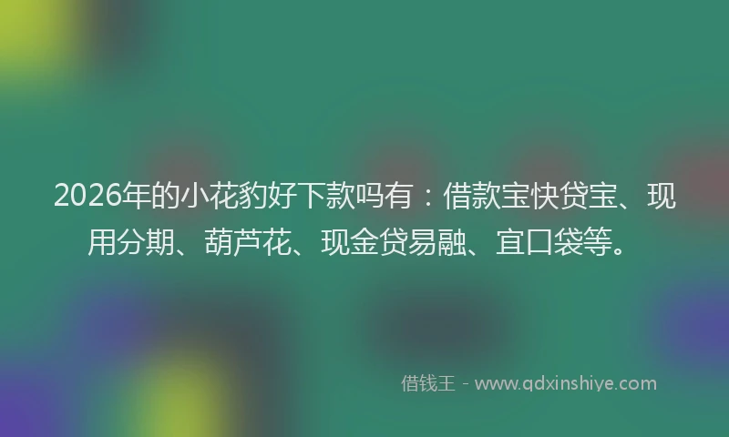 2026年的小花豹好下款吗有：借款宝快贷宝、现用分期、葫芦花、现金贷易融、宜口袋等。