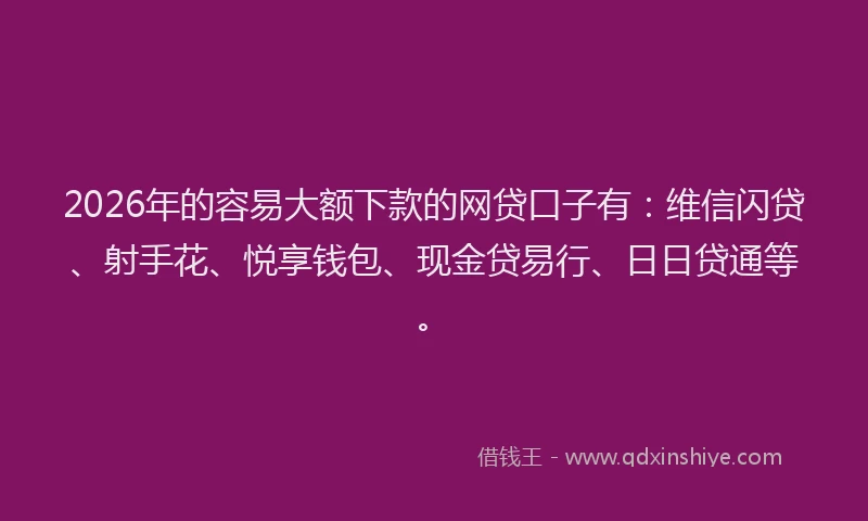 2026年的容易大额下款的网贷口子有：维信闪贷、射手花、悦享钱包、现金贷易行、日日贷通等。
