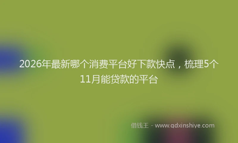 2026年最新哪个消费平台好下款快点，梳理5个11月能贷款的平台