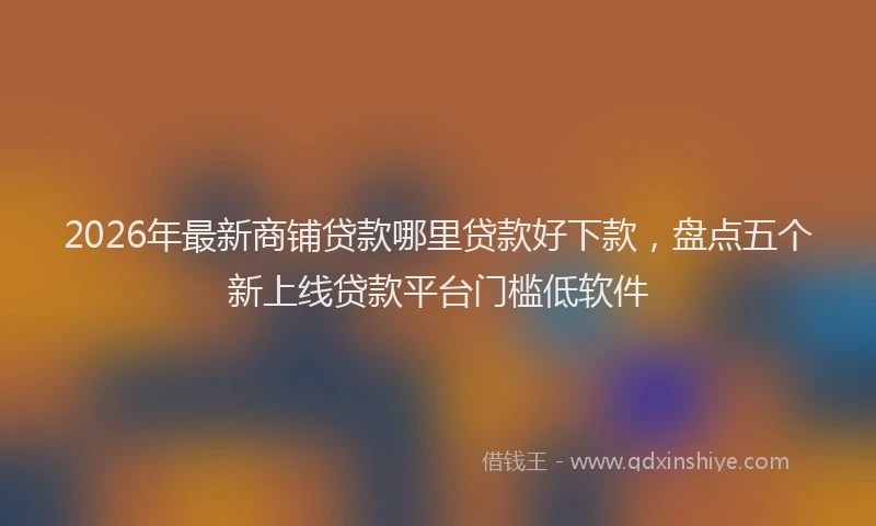 2026年最新商铺贷款哪里贷款好下款，盘点五个新上线贷款平台门槛低软件