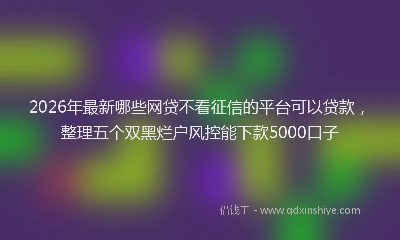 2026年最新哪些网贷不看征信的平台可以贷款，整理五个双黑烂户风控能下款5000口子
