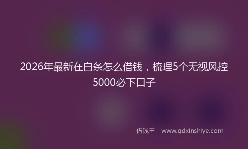 2026年最新在白条怎么借钱，梳理5个无视风控5000必下口子