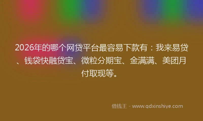 2026年的哪个网贷平台最容易下款有:我来易贷、钱袋快融贷宝、微粒分期宝、金满满、美团月付取现等。