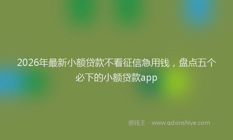 2026年最新小额贷款不看征信急用钱，盘点五个必下的小额贷款app