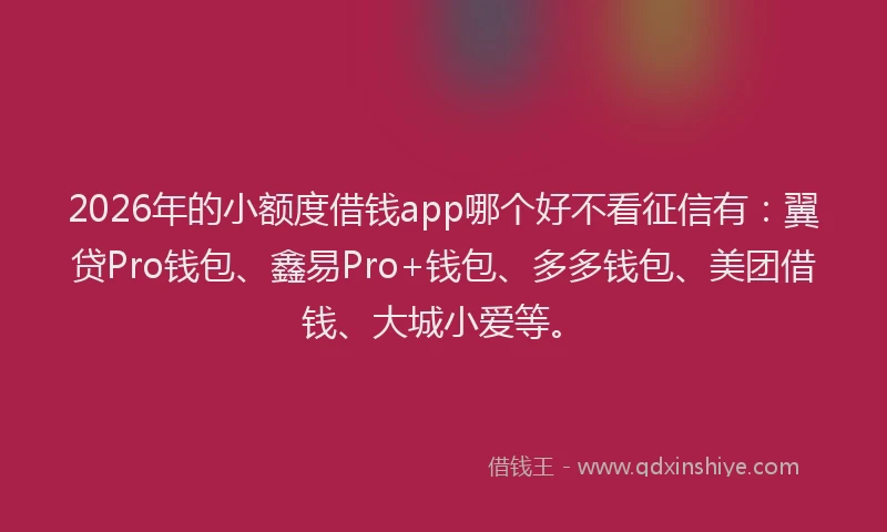 2026年的小额度借钱app哪个好不看征信有：翼贷Pro钱包、鑫易Pro+钱包、多多钱包、美团借钱、大城小爱等。