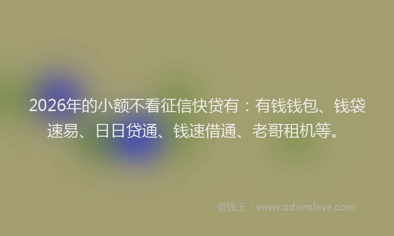 2026年的小额不看征信快贷有：有钱钱包、钱袋速易、日日贷通、钱速借通、老哥租机等。