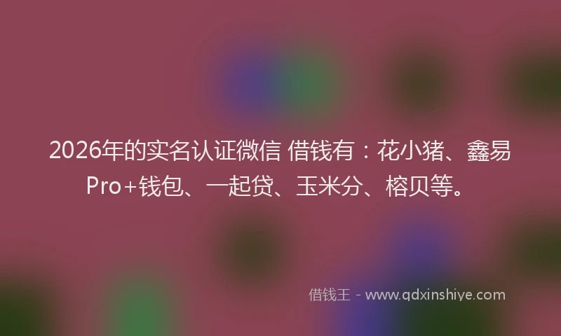 2026年的实名认证微信 借钱有：花小猪、鑫易Pro+钱包、一起贷、玉米分、榕贝等。