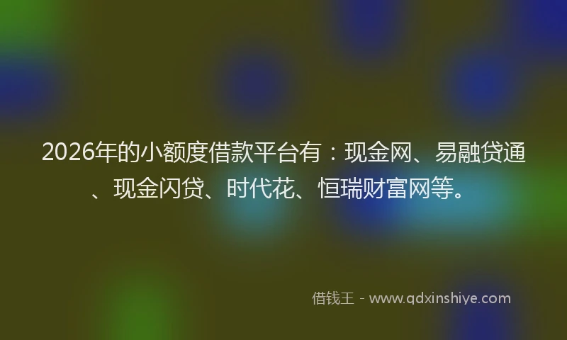 2026年的小额度借款平台有：现金网、易融贷通、现金闪贷、时代花、恒瑞财富网等。
