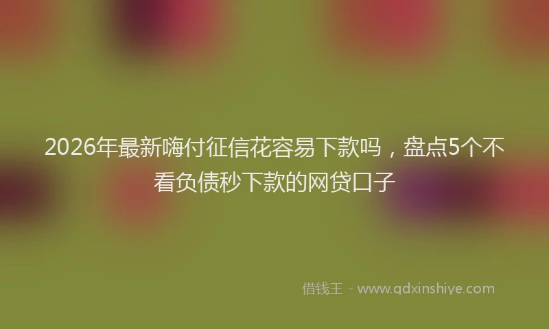 2026年最新嗨付征信花容易下款吗，盘点5个不看负债秒下款的网贷口子