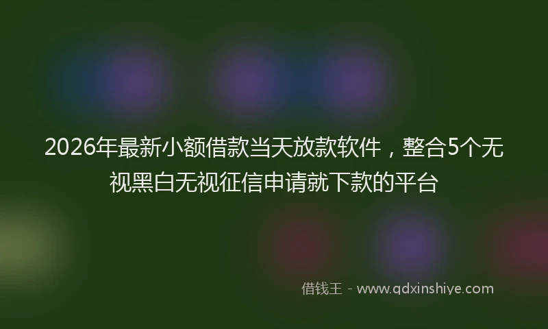 2026年最新小额借款当天放款软件，整合5个无视黑白无视征信申请就下款的平台