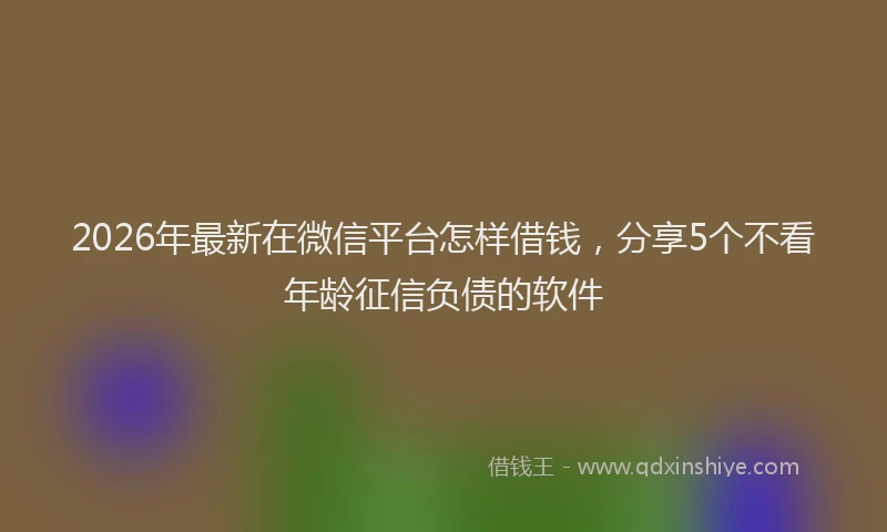 2026年最新在微信平台怎样借钱，分享5个不看年龄征信负债的软件