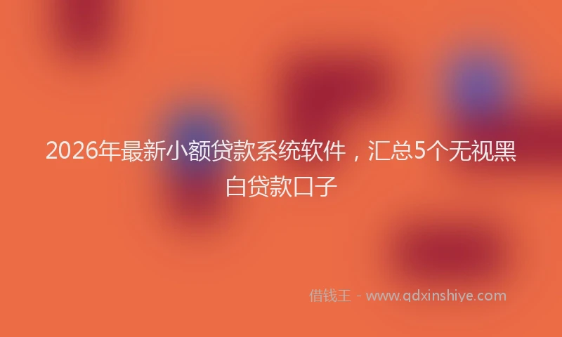 2026年最新小额贷款系统软件，汇总5个无视黑白贷款口子