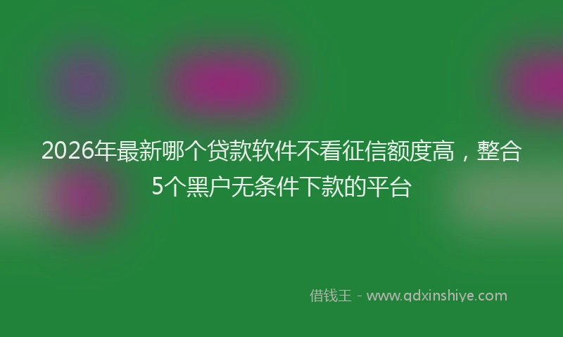 2026年最新哪个贷款软件不看征信额度高,整合5个黑户无条件下款的平台