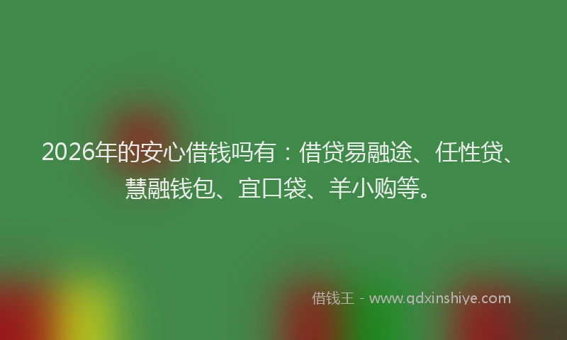 2026年的安心借钱吗有：借贷易融途、任性贷、慧融钱包、宜口袋、羊小购等。