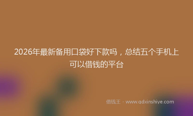 2026年最新备用口袋好下款吗，总结五个手机上可以借钱的平台