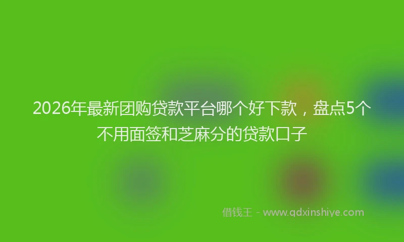 2026年最新团购贷款平台哪个好下款,盘点5个不用面签和芝麻分的贷款口子